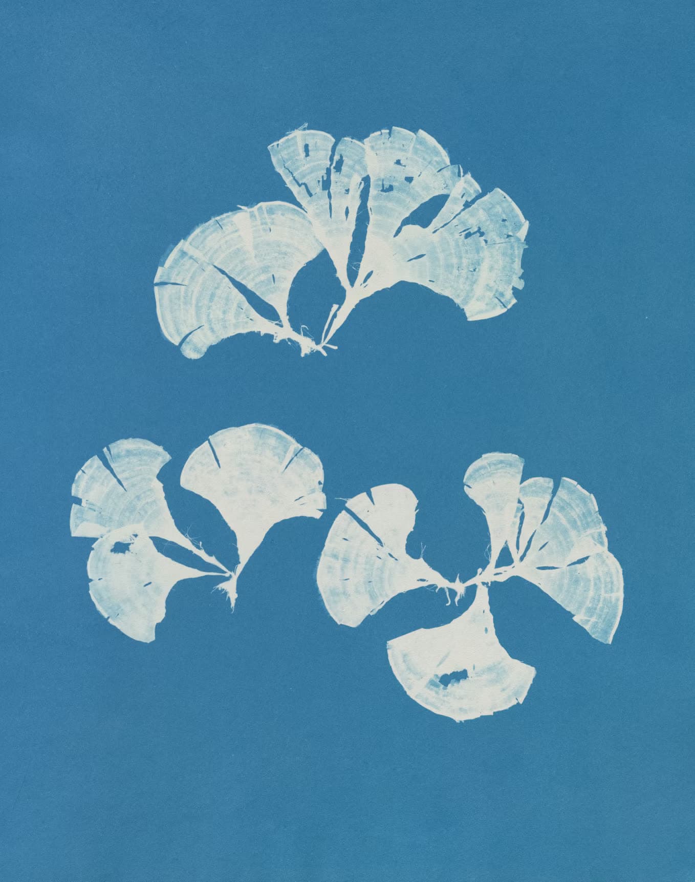 AI Assemblies preview