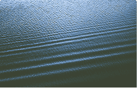 Recent views on DeepSeek preview